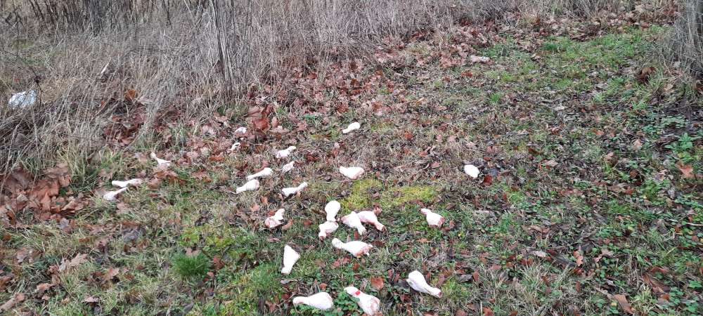 Giftköder-Evtl. Giftköder-Profilbild