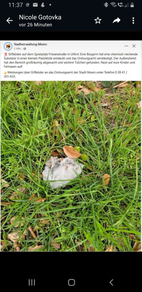 Giftköder-Ordnungsamt warnt vor Giftköder-Profilbild