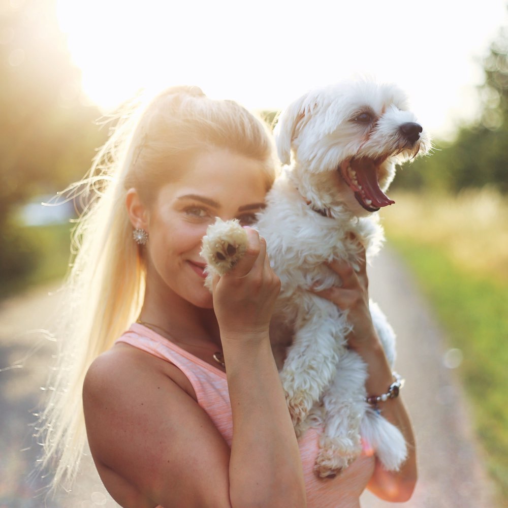 Hundetreffen-Suche einen Partner zum Spielen & Spazieren🐶🥰-Profilbild