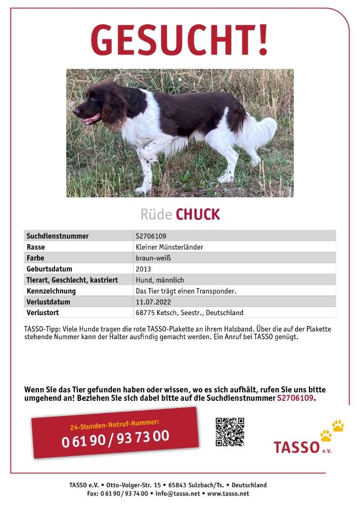 Suchmeldung-Chuck-Profilbild