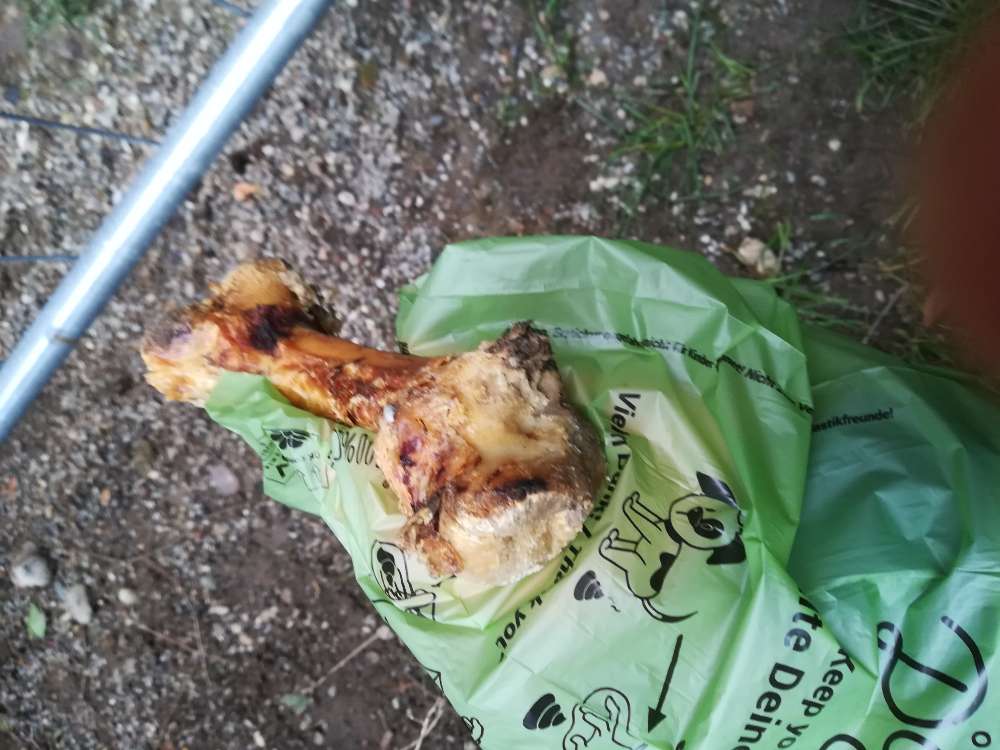 Giftköder-Ausgelegter Kauknochen-Profilbild