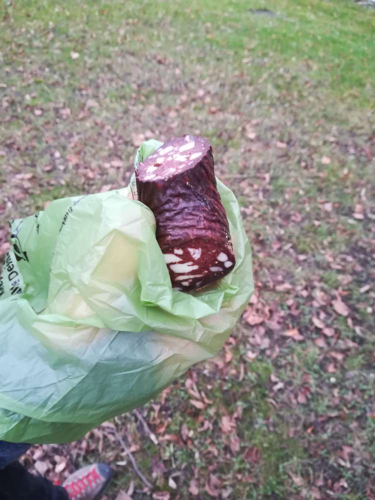 Giftköder-Großes Stück Wurst direkt am Wegrand-Profilbild