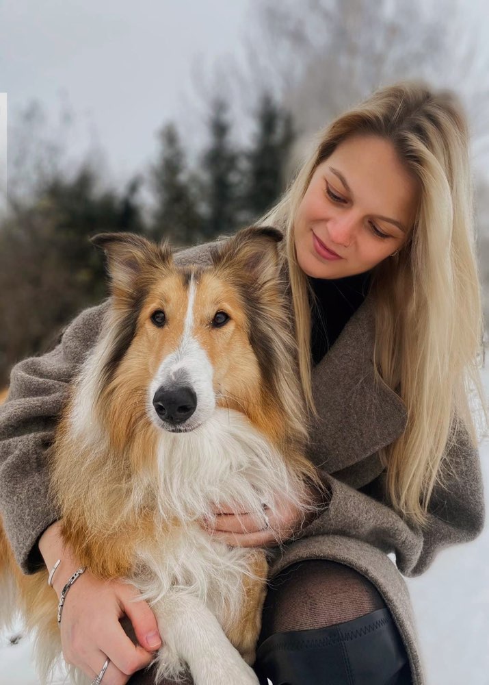 Hundetreffen-Gassirunden-Profilbild