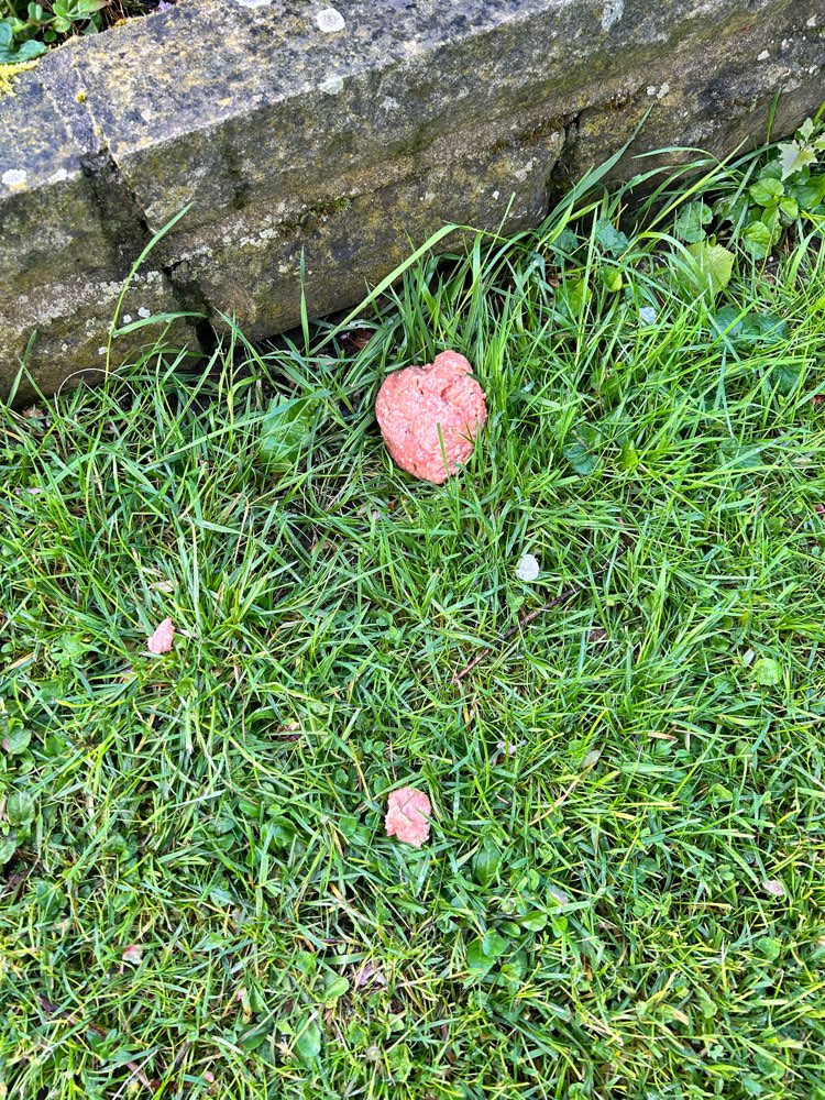 Giftköder-Giftköder Friedhof Kleve-Profilbild