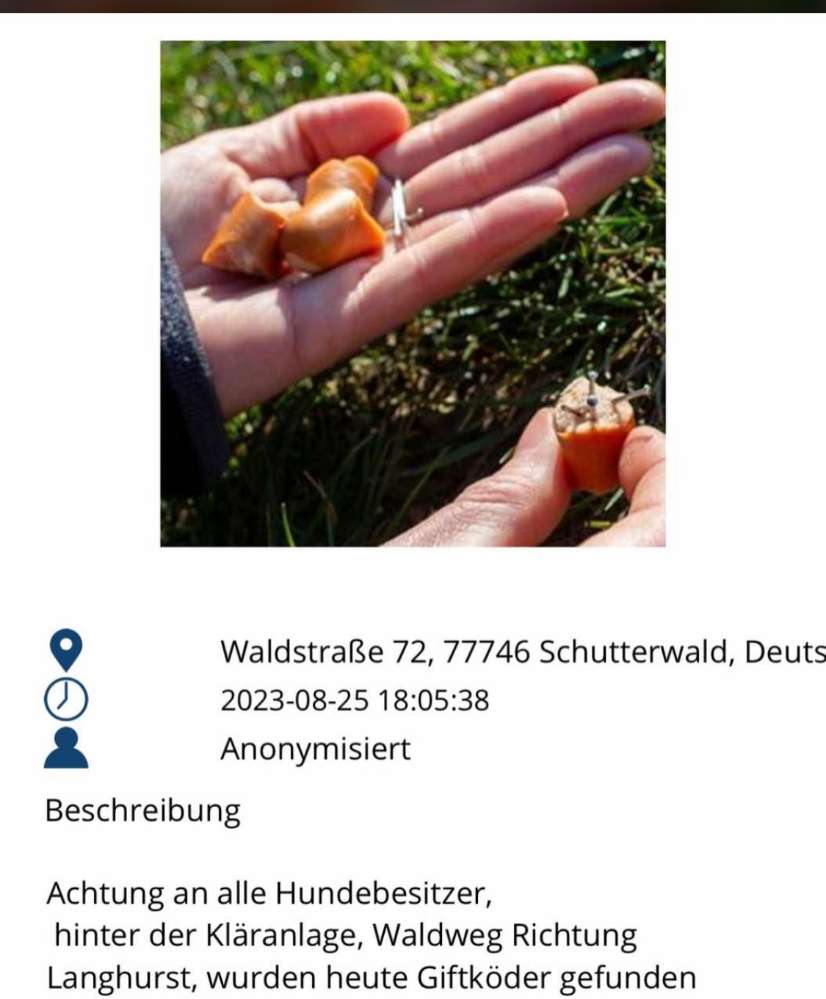 Giftköder-Giftköder-Profilbild