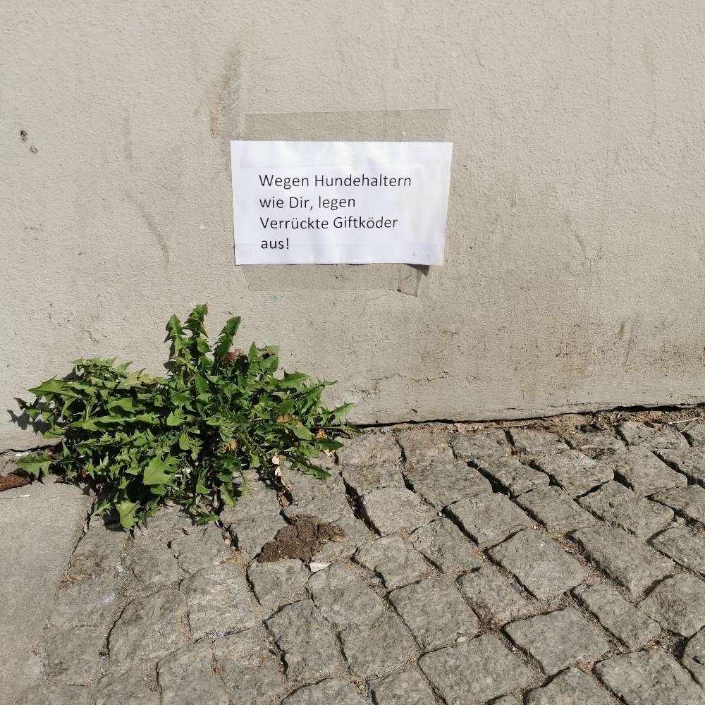 Giftköder-Zettel mit Drohung-Profilbild