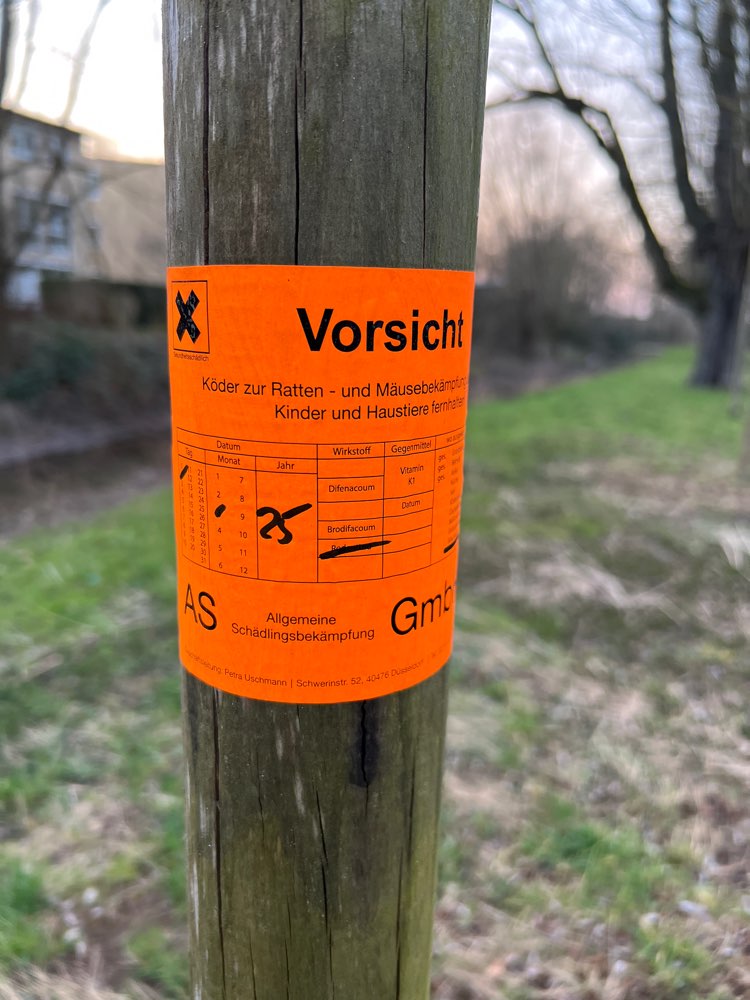 Giftköder-Rattengift-Profilbild