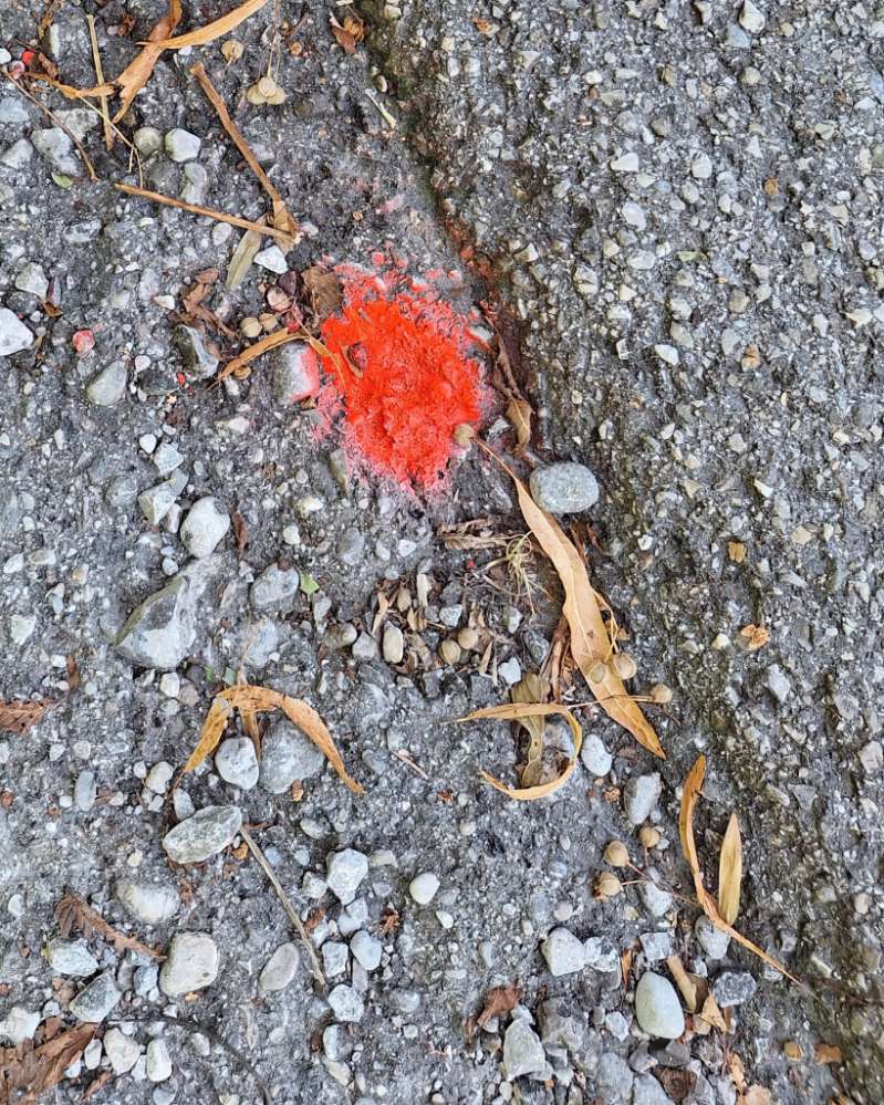 Giftköder-Rotes Giftpulver am Isarweg in Lenggries-Profilbild