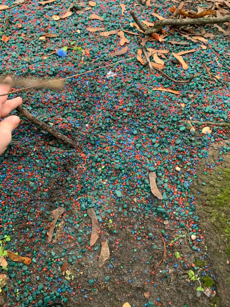 Giftköder-Blaues und rotes Gift am Baum! 1-2 qm-Profilbild