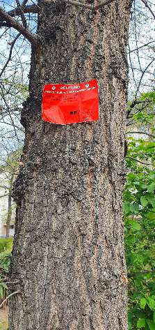 Giftköder-Giftköder für Ratten und Mäuse verteilt-Profilbild