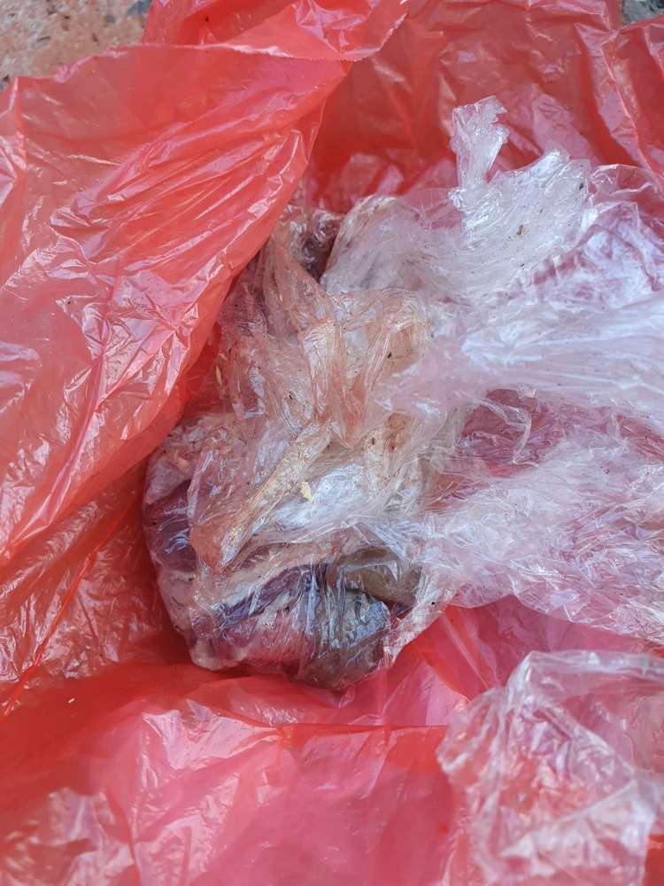 Giftköder-Fleisch-Profilbild