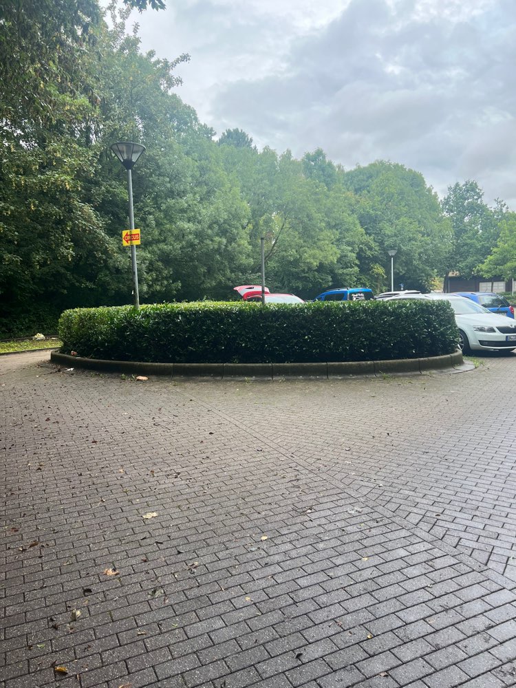 Giftköder-Möglicher Giftköder - Futter in Schale-Profilbild