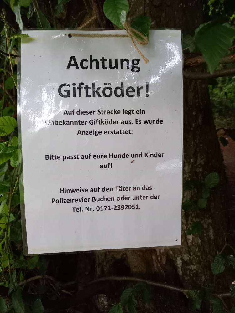 Giftköder-Giftköder-Profilbild