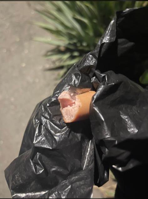 Giftköder-Wurst mit Rasierklingen drin-Profilbild