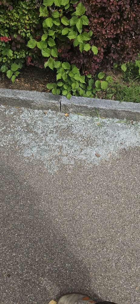 Giftköder-Scherben/ Splitter-Profilbild