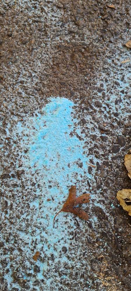 Giftköder-Rattengift?-Profilbild