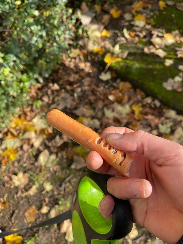 Giftköder-Möglicher Giftköder-Profilbild