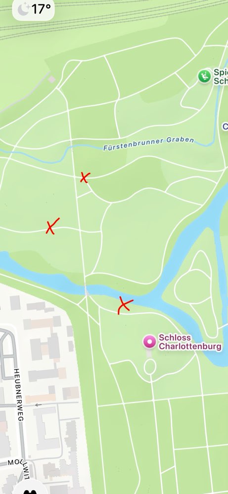 Giftköder-Eichenprozessionsspinner-Profilbild