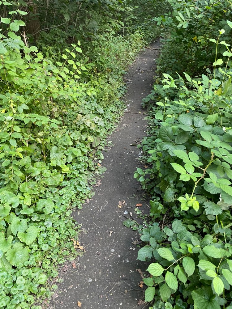 Giftköder-Giftköder?-Profilbild