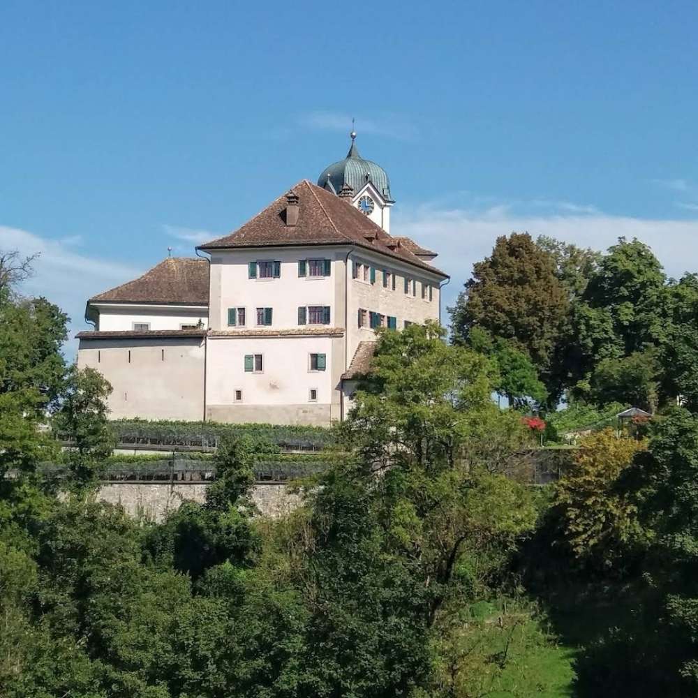 Hundetreffen-Spiel und Spass-Profilbild