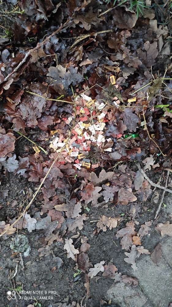 Giftköder-Vermutung auf Giftköder-Profilbild