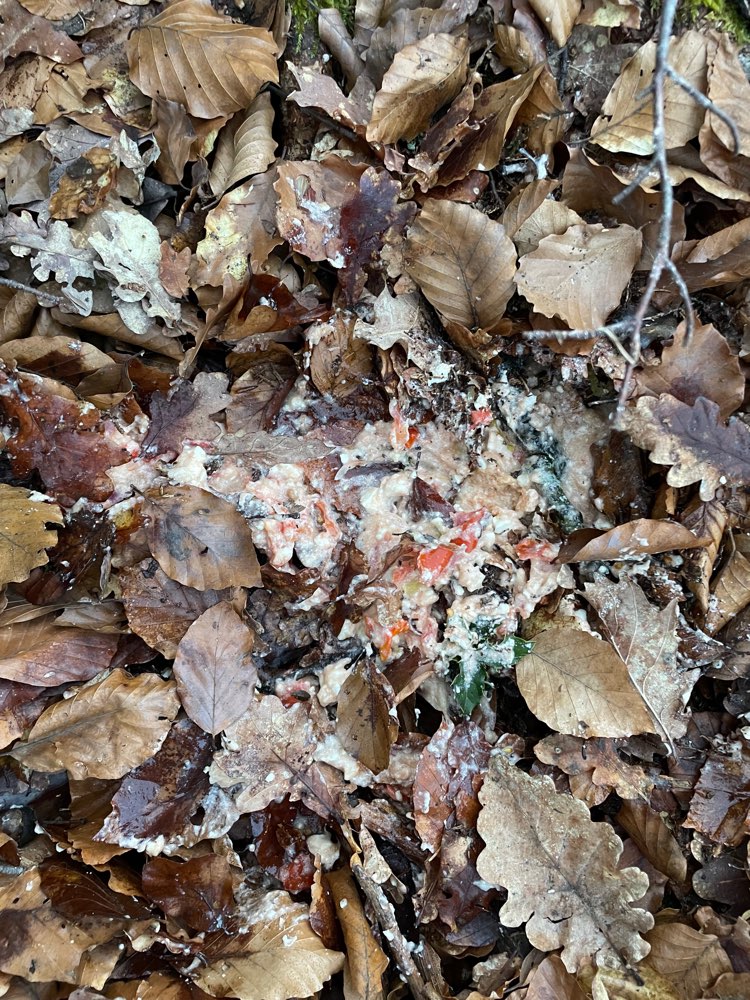 Giftköder-Vermutlich Giftköder-Profilbild