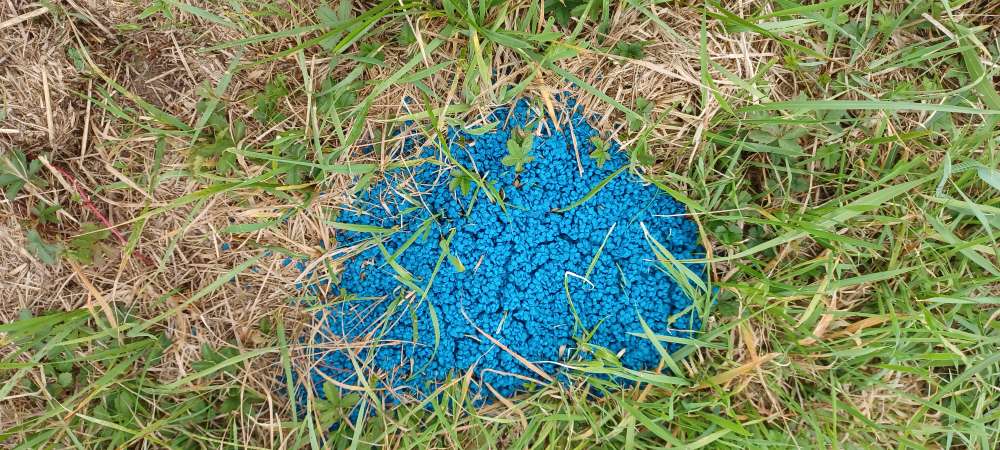 Giftköder-Blaukorn oder Schneckenkorn-Profilbild