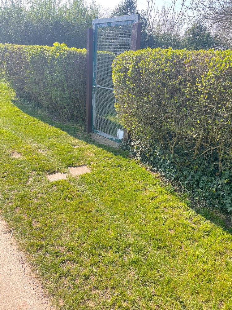 Giftköder-Blaukorn!-Profilbild