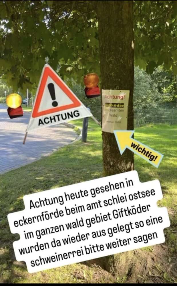 Giftköder-Giftköder im gesamten Waldgebiet-Profilbild