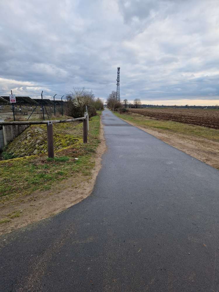 Giftköder-Evtl Giftköder-Profilbild