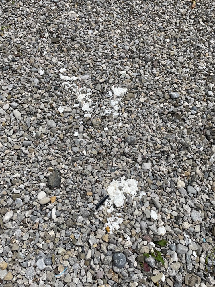 Giftköder-Weißes Pulver (evtl. Rattengift)-Profilbild