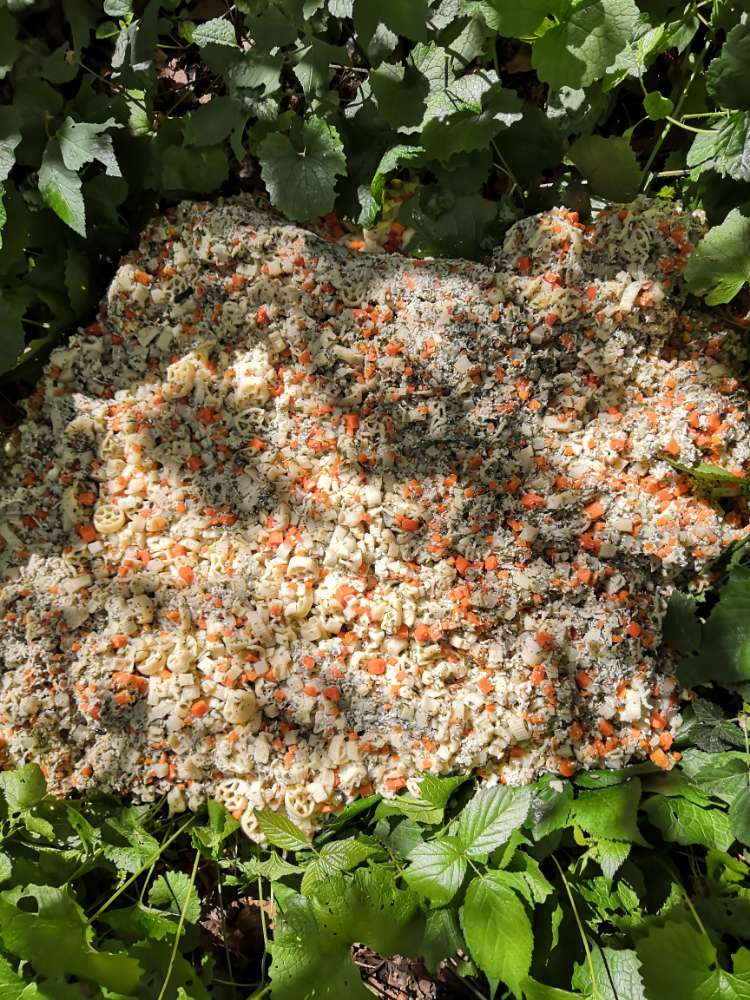 Giftköder-Verdächtiges Gekochtes-Profilbild