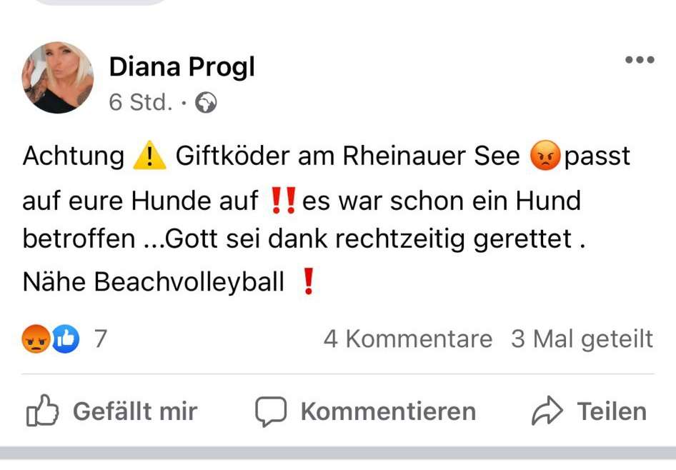 Giftköder-Giftköder-Profilbild