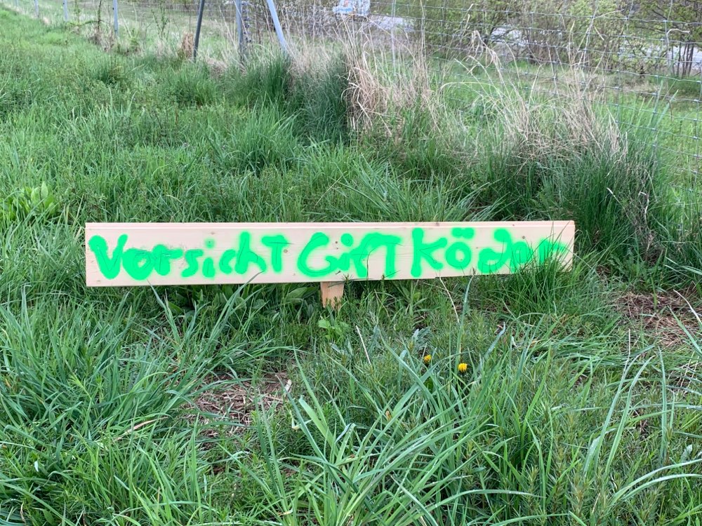 Giftköder-Erneute Giftköder Warnung-Profilbild