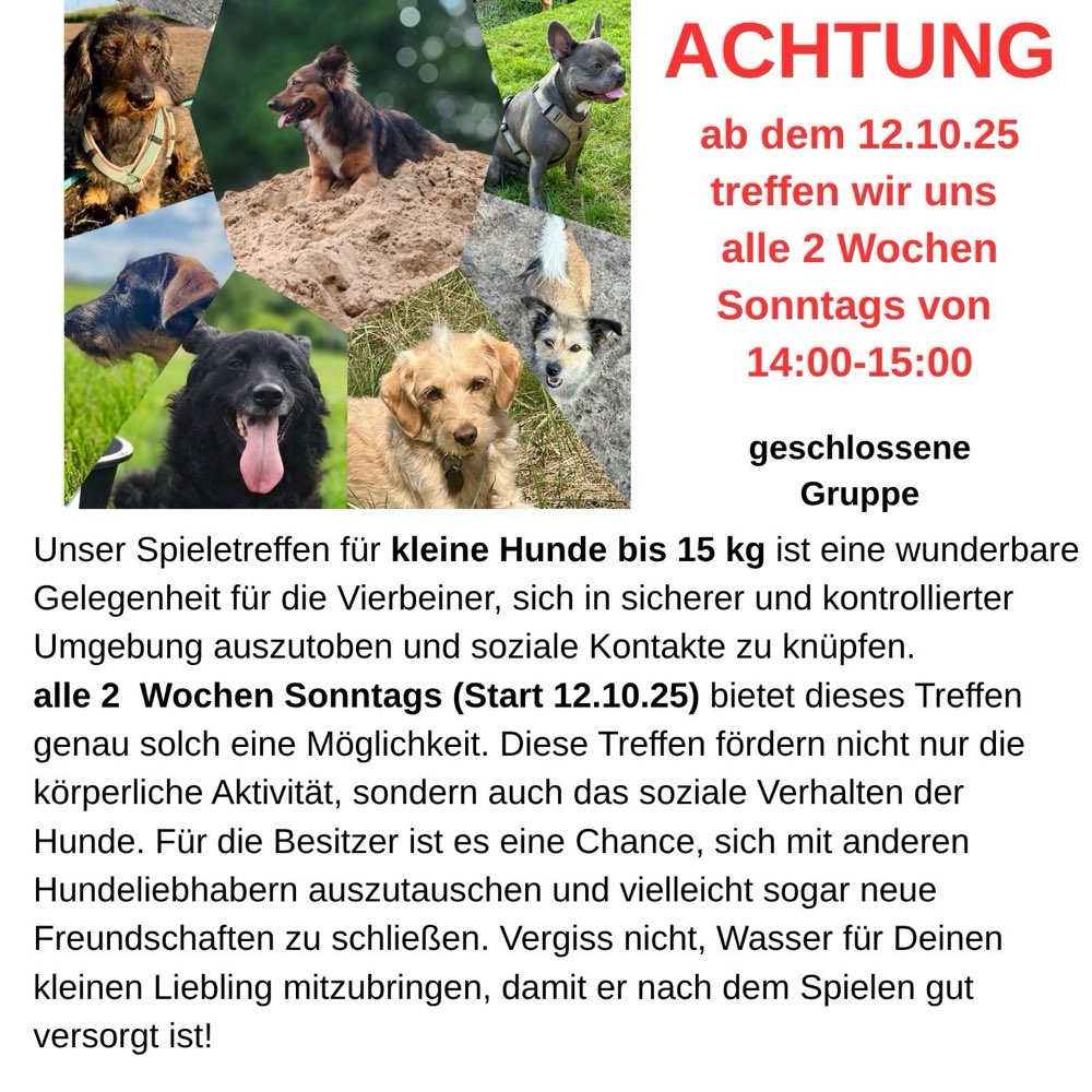 Hundetreffen-Hundekontakt sonntags in Lauenbrück bis 15 Kg-Profilbild
