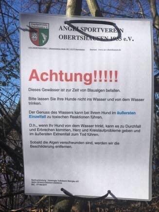 Giftköder-Angel See Richtung Obertshausen von Hst-Profilbild
