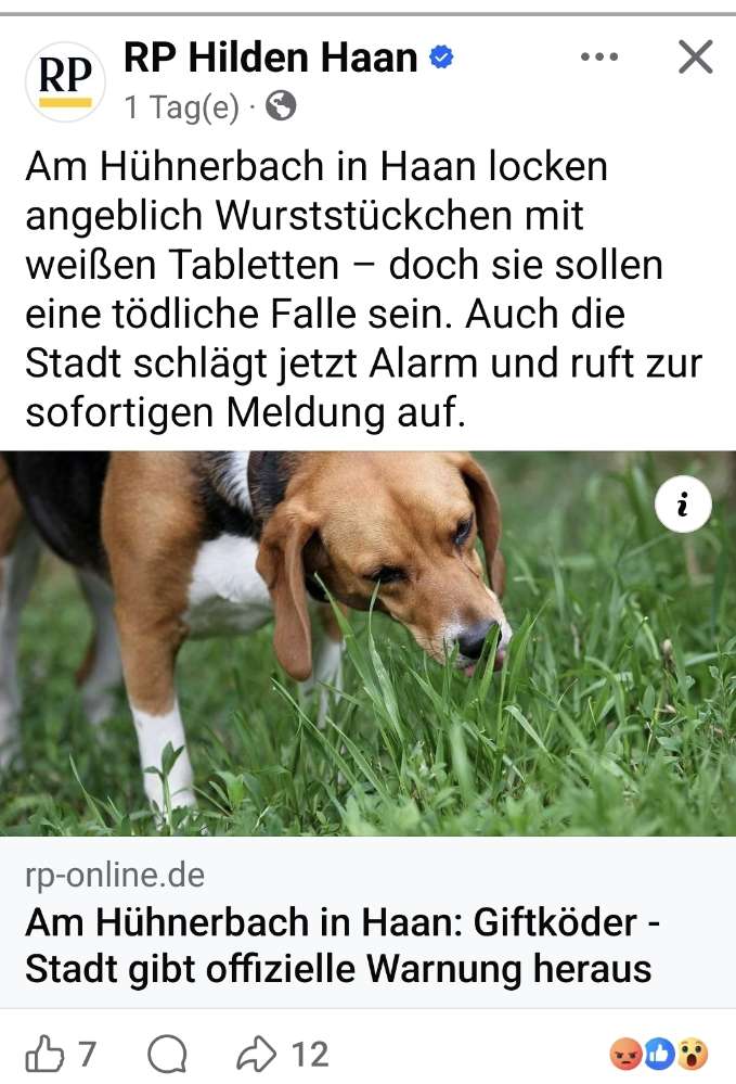 Giftköder-Giftköder Hühnerbach-Profilbild