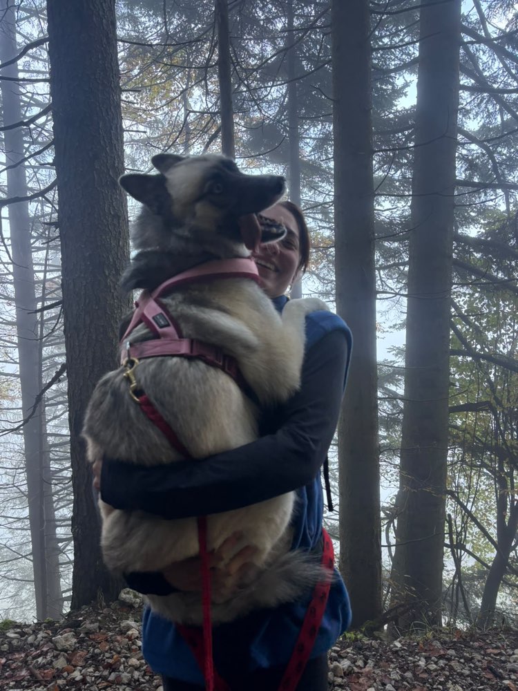 Hundetreffen-Hundefreunde zum spielen gesucht-Profilbild
