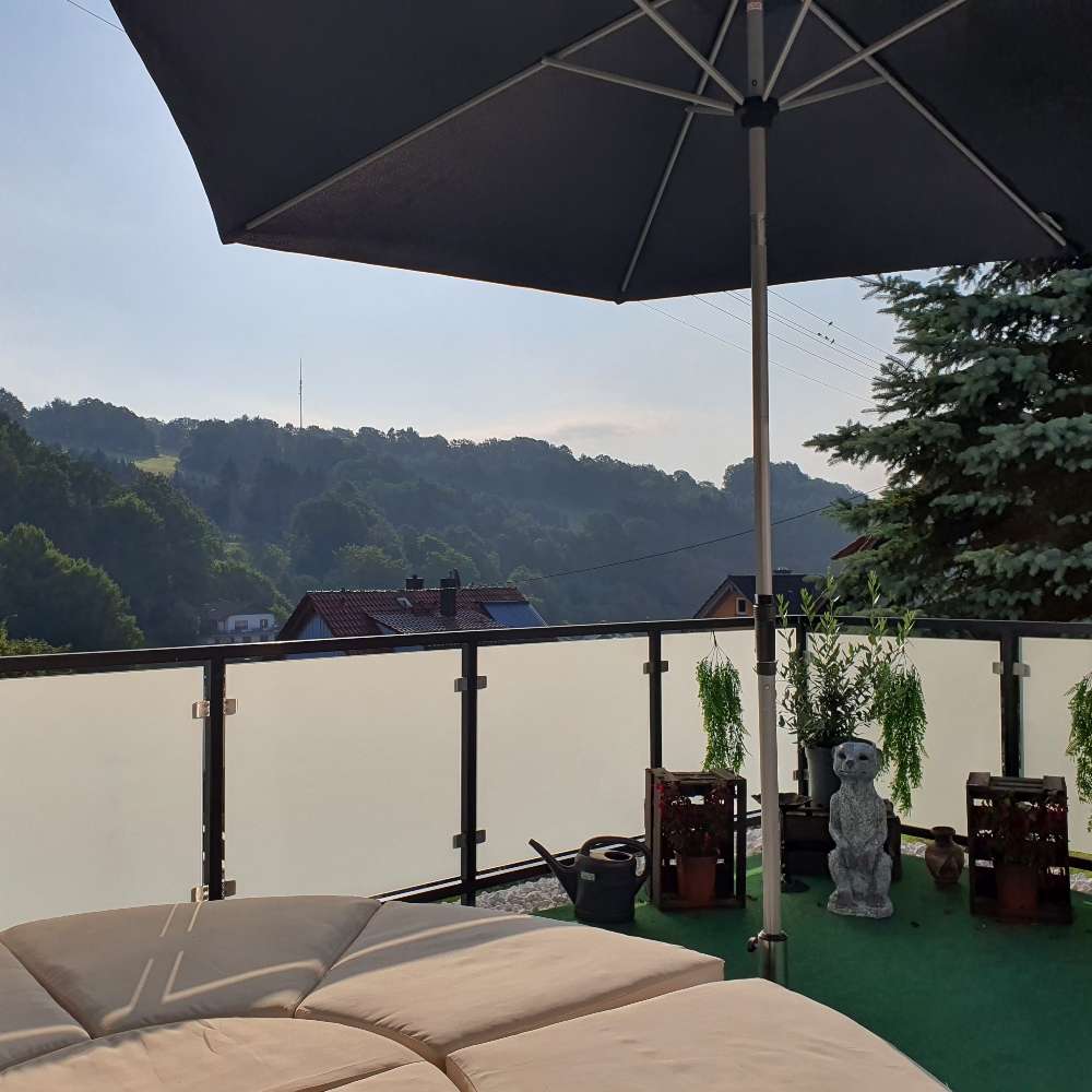 Hundetreffen-Sonne genießen-Profilbild