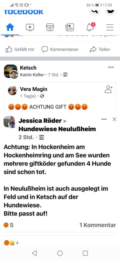 Giftköder-Giftköder auf Hundewiese-Profilbild