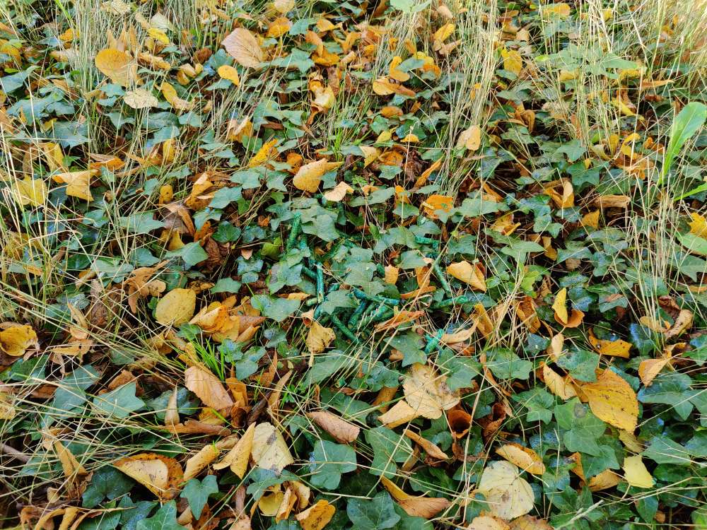 Giftköder-Giftköder Armgartstr.-Profilbild