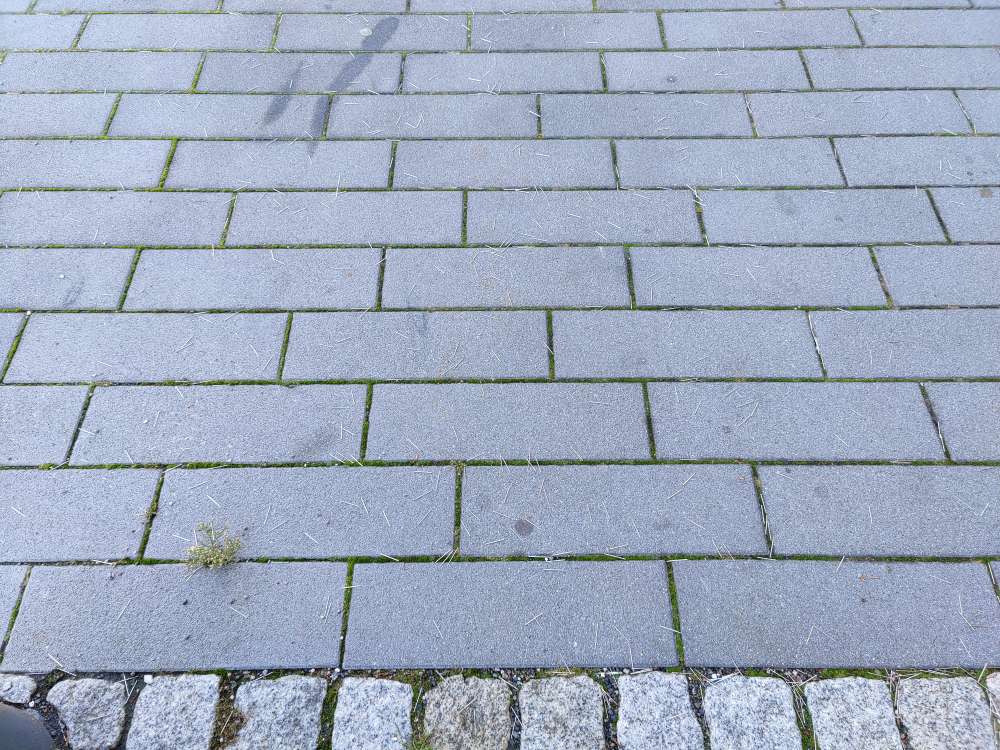 Giftköder-Nadeln bzw Nägel auf dem Gehweg-Profilbild