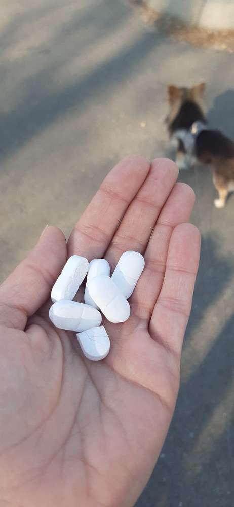 Giftköder-Unbekannte Tabletten im meter Abstand-Profilbild