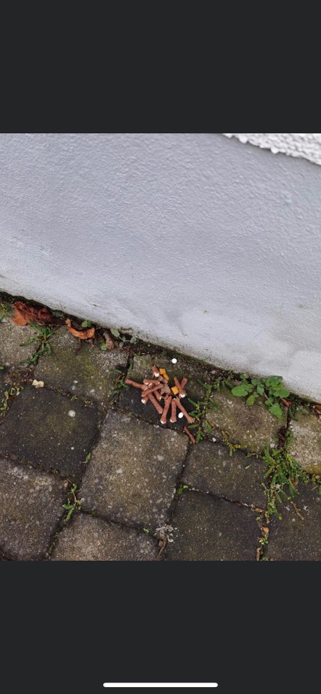 Giftköder-Vermutlich Köder mit Tabletten-Profilbild