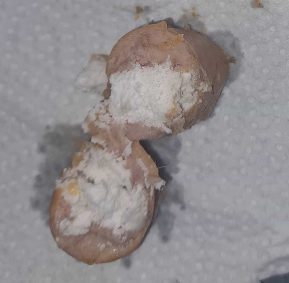 Giftköder-Vermutlich Giftköder-Profilbild