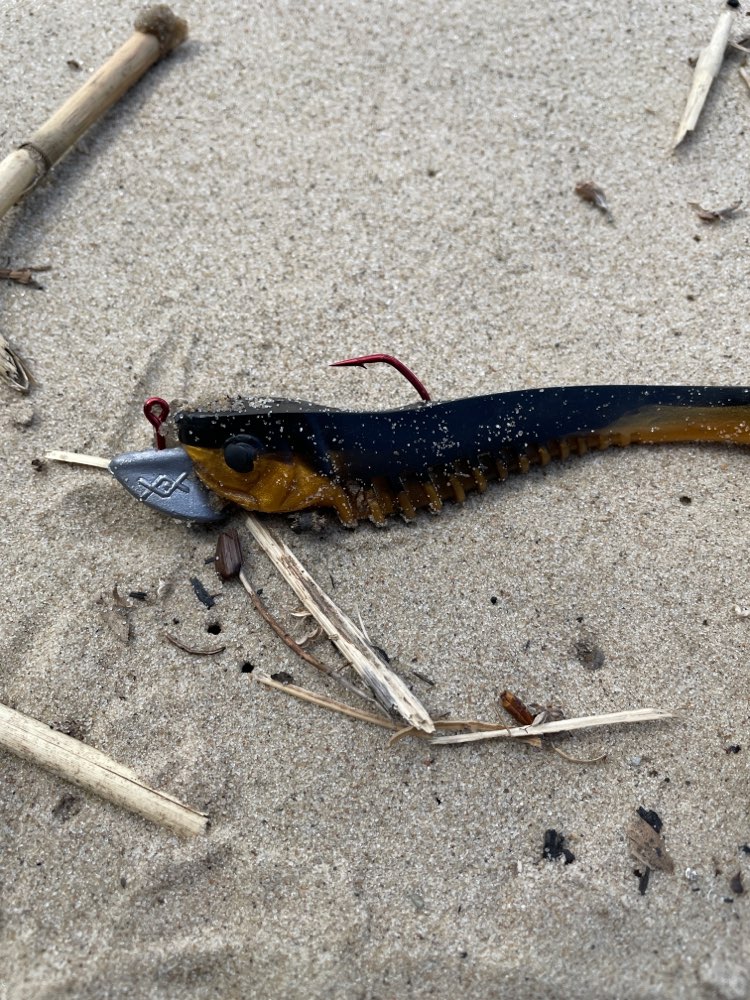 Giftköder-Gefährliche Angel - Köder am Strand-Profilbild