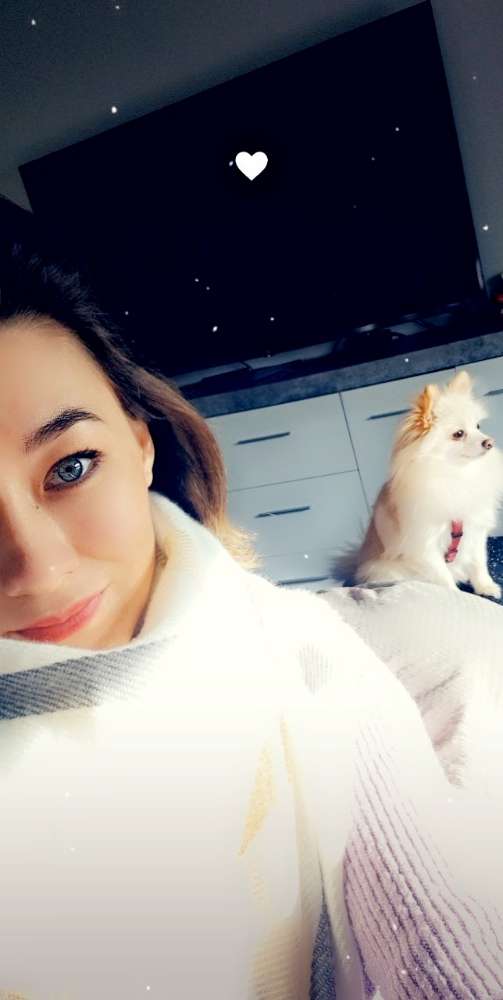 Hundetreffen-Gassi Runde in lengede oder salzgitter lebenstedt-Profilbild