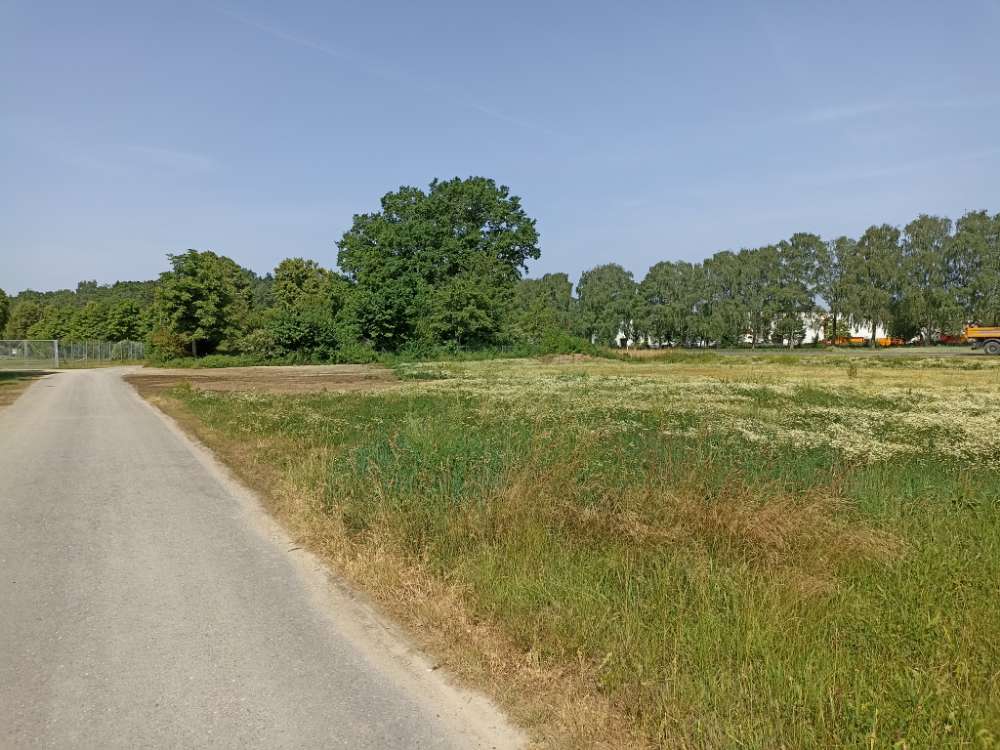 Giftköder-Glasscherben überall verteilt-Profilbild