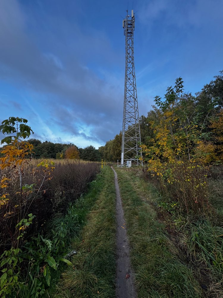 Giftköder-Giftköder Waldblick-Profilbild