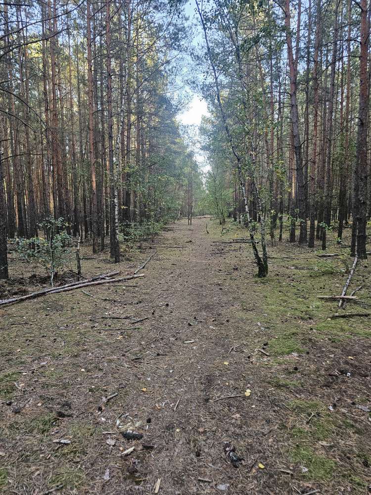 Giftköder-Weißes Pulver im Wald-Profilbild